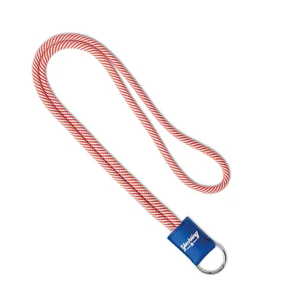 Lanyard de poliéster de dos tonos con placa de PVC. ML1007