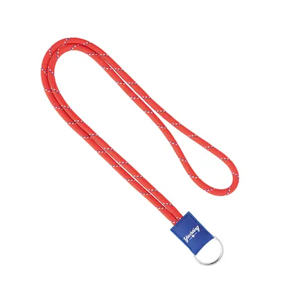 Lanyard de poliéster de 3 tonos con placa de PVC. ML1107