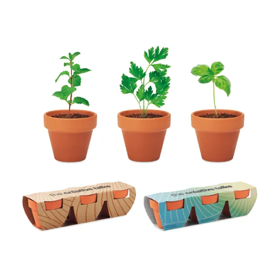 Juego de tres macetas de barro cocido de Ø5 cm con las semillas de su elección en un envase de diseño propio. · YC6145