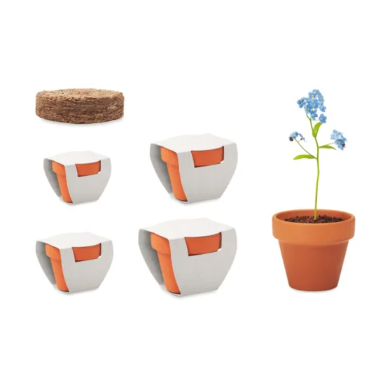 Maceta de terracota (disponible en 4 tamaños) con semilla a elegir y embalaje personalizado. · YC6146