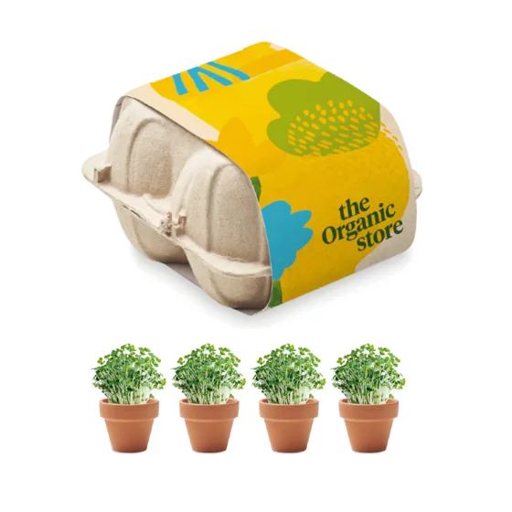 Kit de cultivo: set de 4 macetas de terracota en bandeja de cartón de huevos. · YC6886